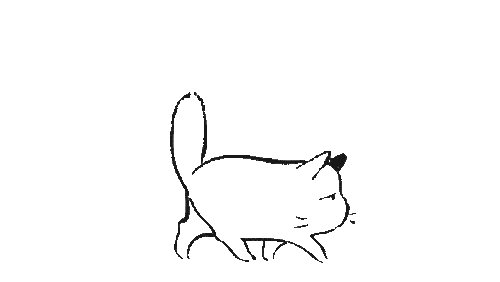 Cafetería con gatos en Cáceres